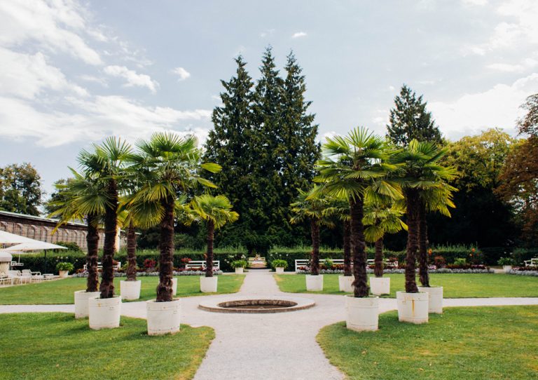 Dina 5 quer8 kleiner 768x542