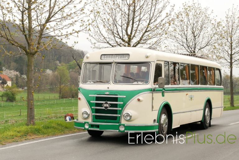 IFA H6 331 Dresden 1 768x513