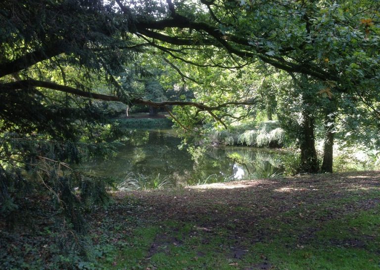 Schloss Schoenfeld Park mit See 768x546