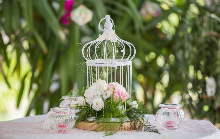 Zauberfee 27 768x485