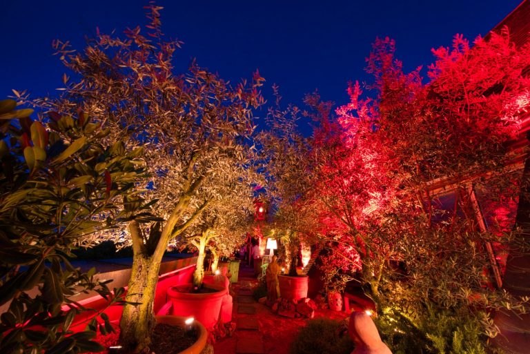 Night of Light Rheinloft Cologne Dachgarten 2048x1368 1 768x513